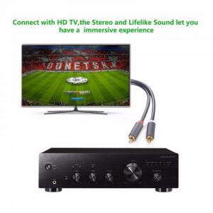 Alternative view of Ugreen 10519 2RCA male to 2RCA male stereo audio video cable 3M